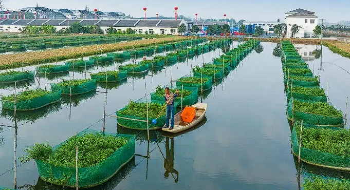 1762476675128290.png image.png